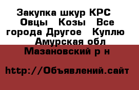 Закупка шкур КРС , Овцы , Козы - Все города Другое » Куплю   . Амурская обл.,Мазановский р-н